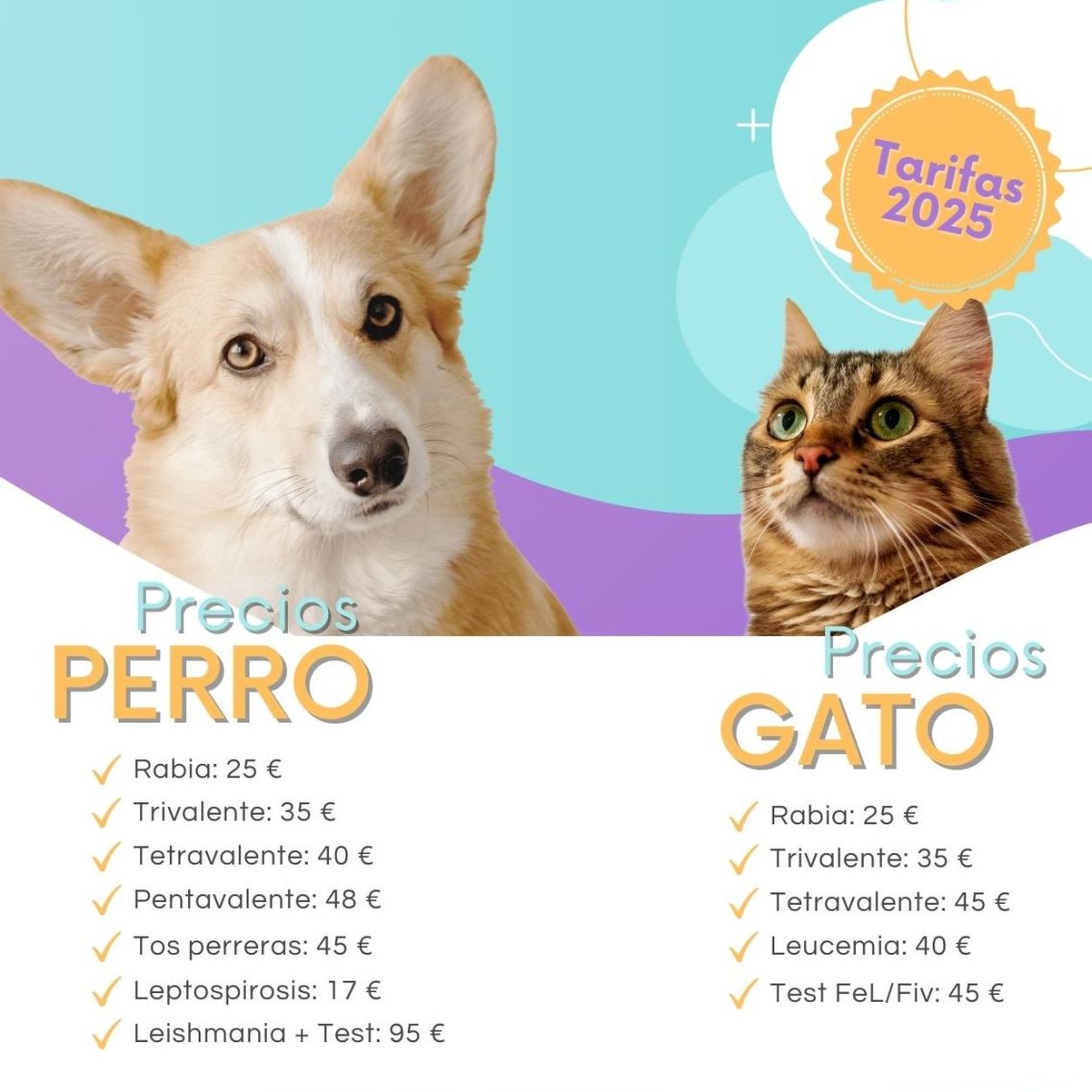 Tarifas_Vacunas_Perros_y_Gatos_2025